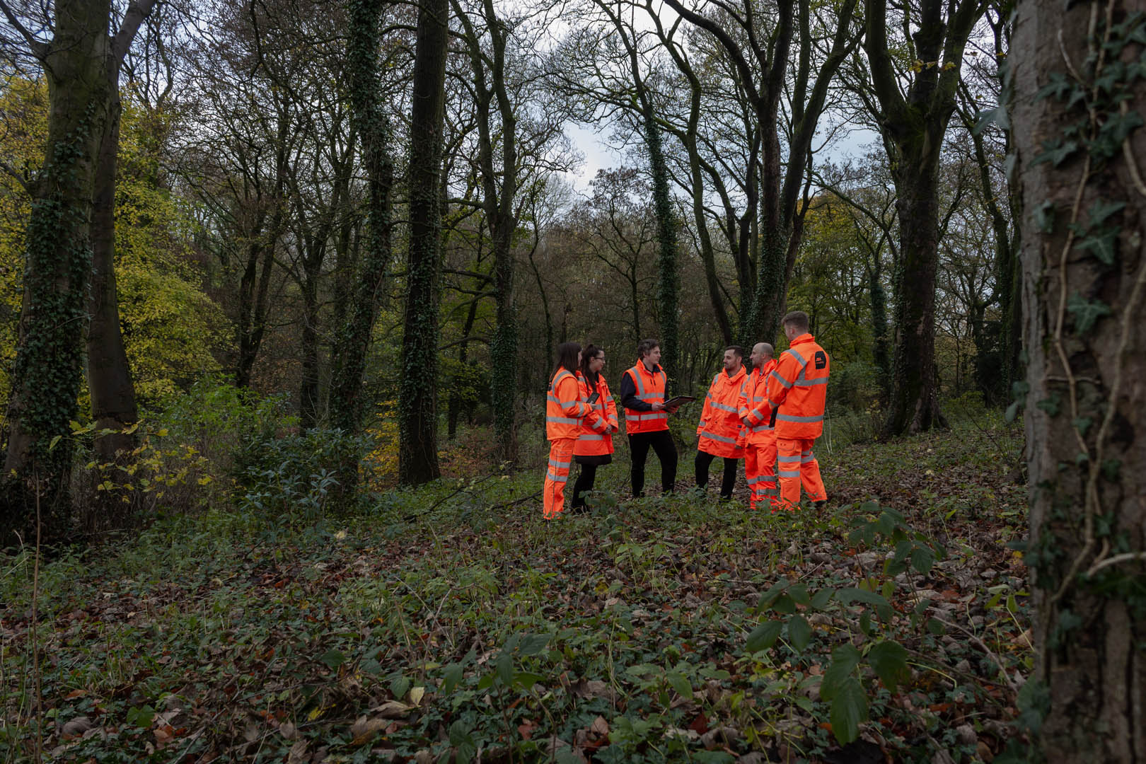 Specialist support to strengthen project outcomes