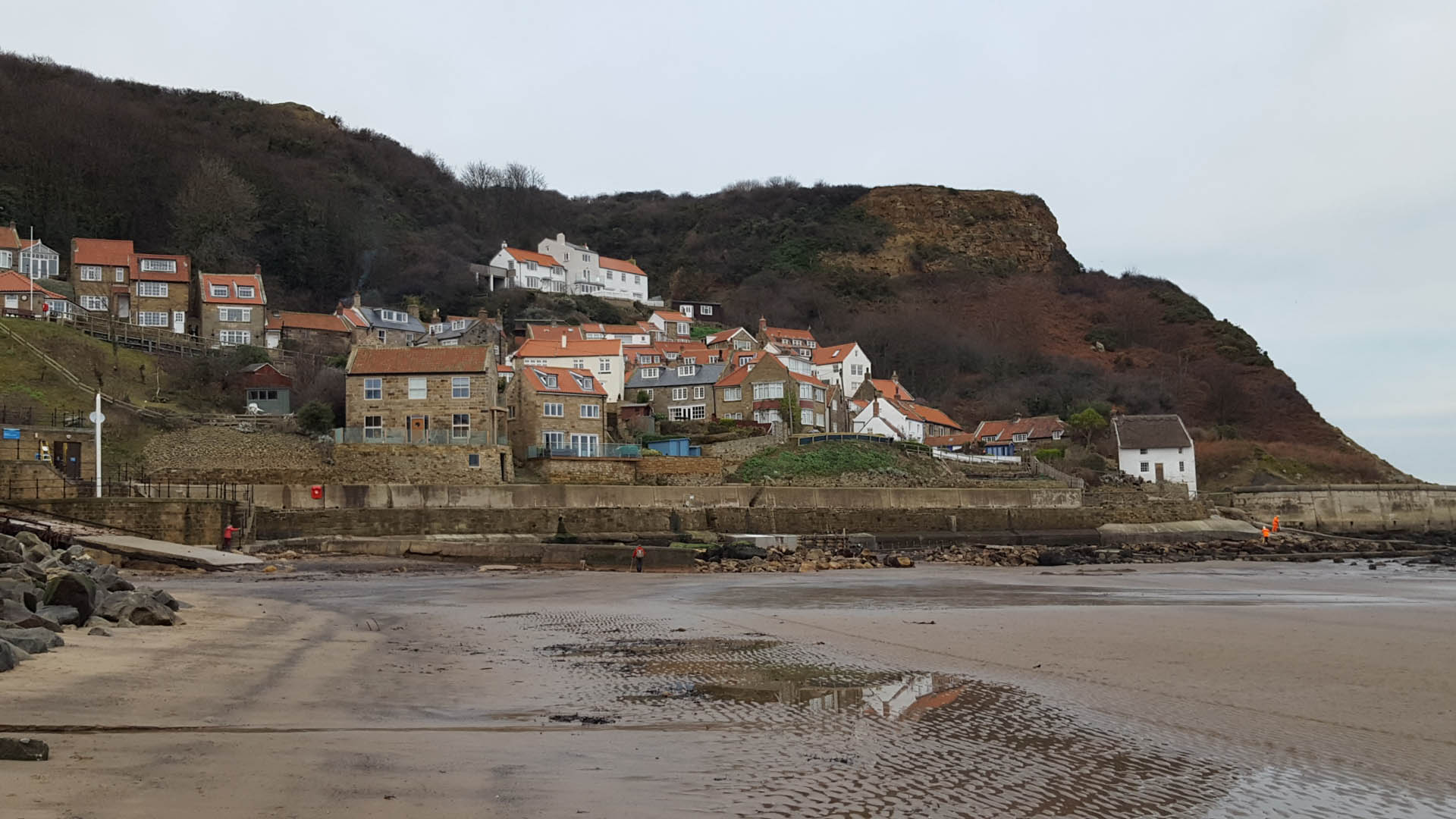 Runswick Bay Environmental Impact Assessment and ecological innovation