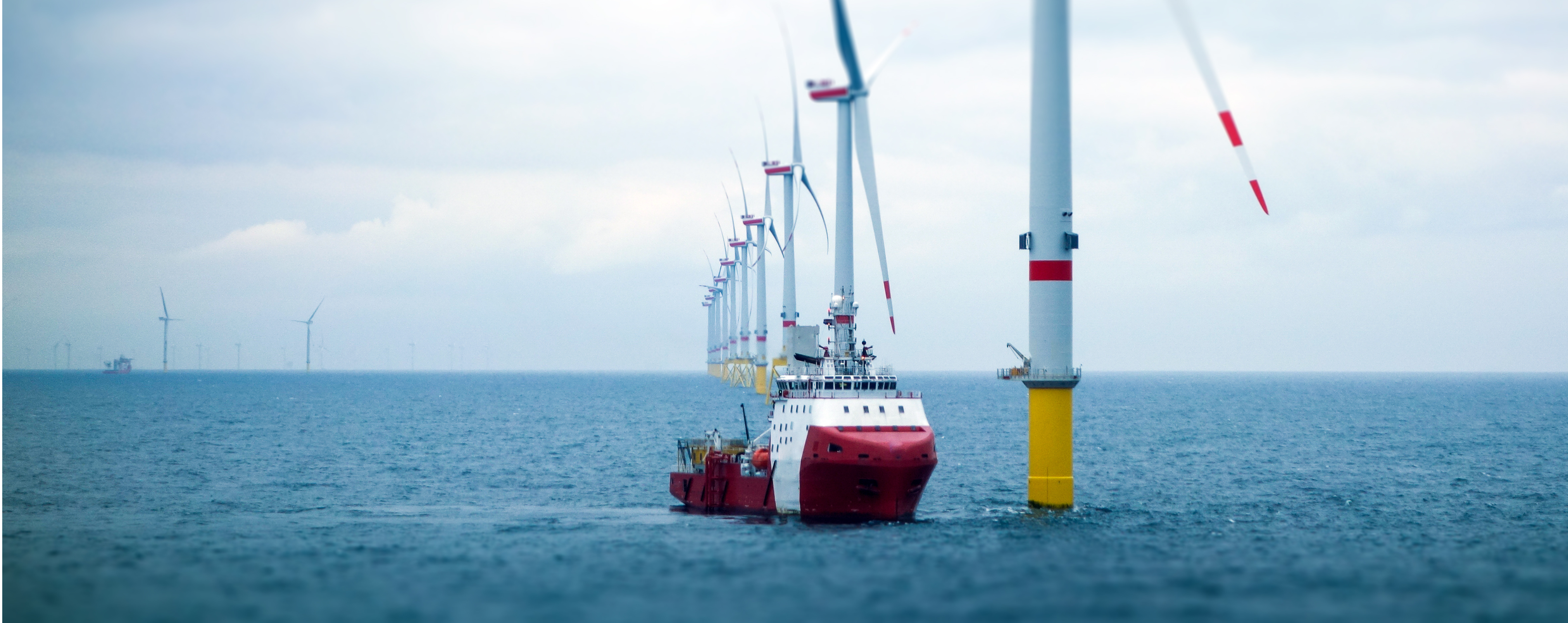 Offshore wind innovation to meet the challenges of the global transition to net zero