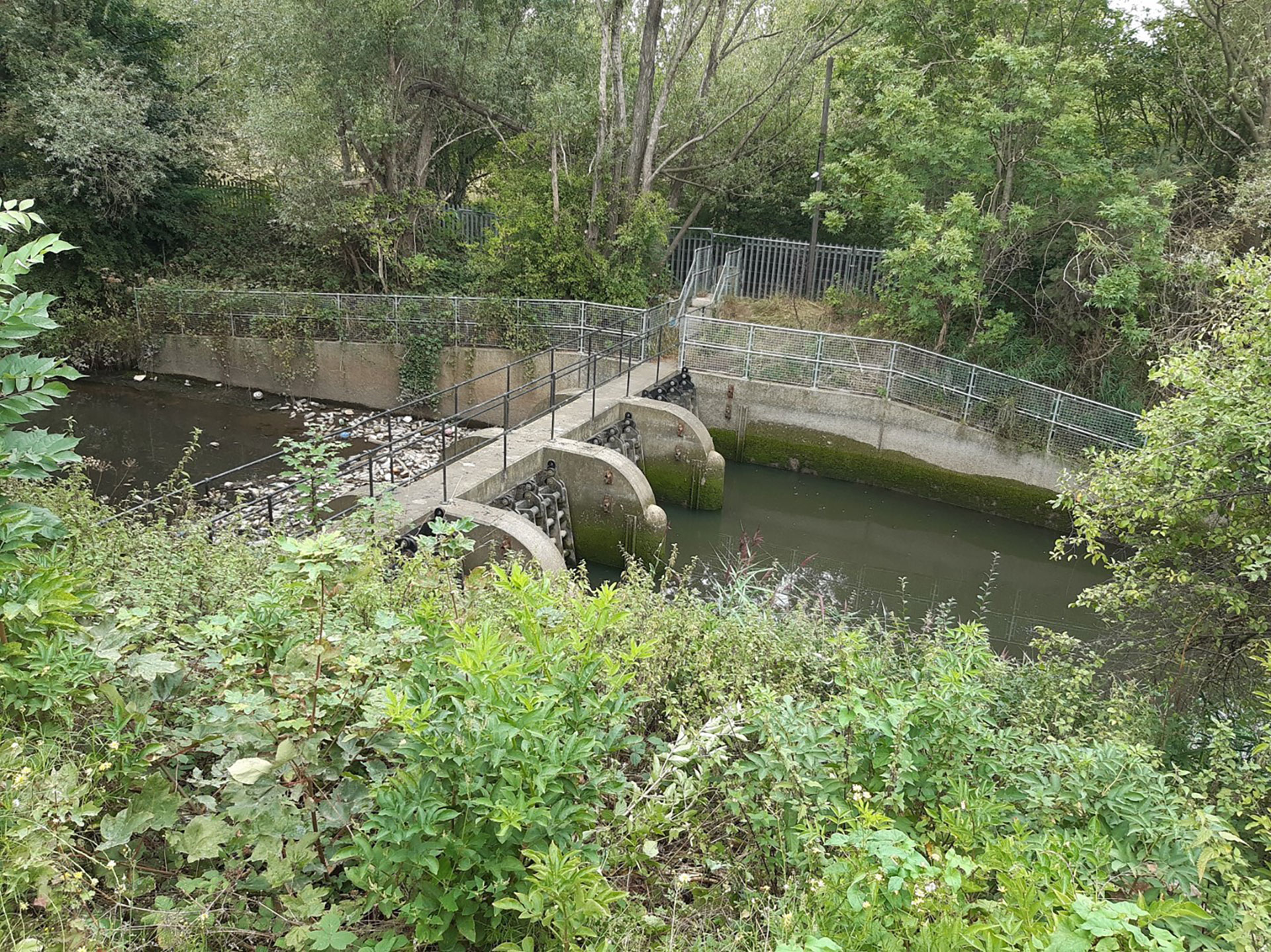 Ormesby Beck Restoration