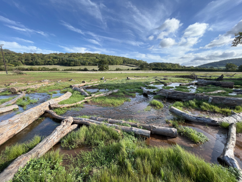 Environment and Sustainability 