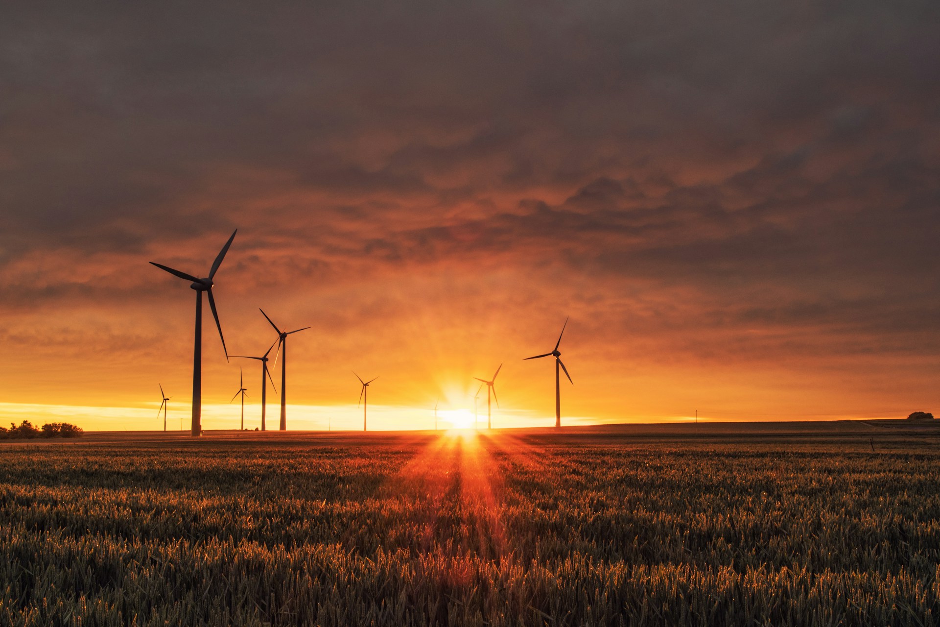 UK Climate change adaptation reporting (ARP4) – what next?