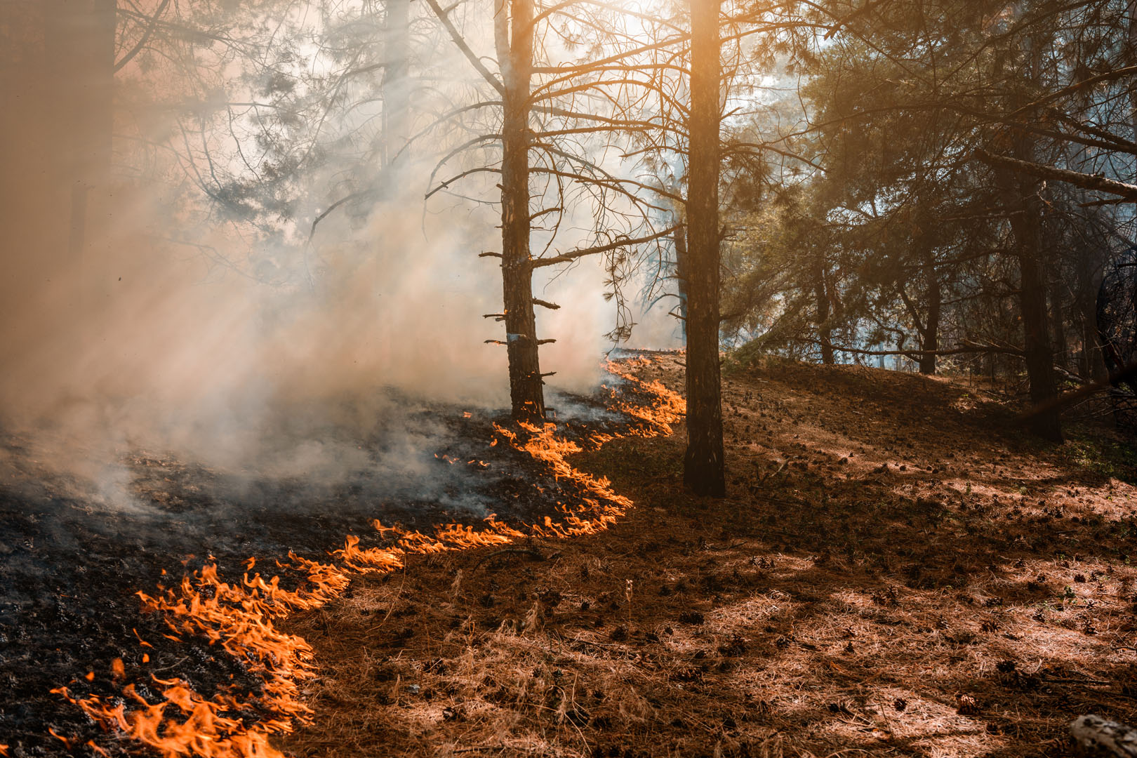 Climate adaptation training