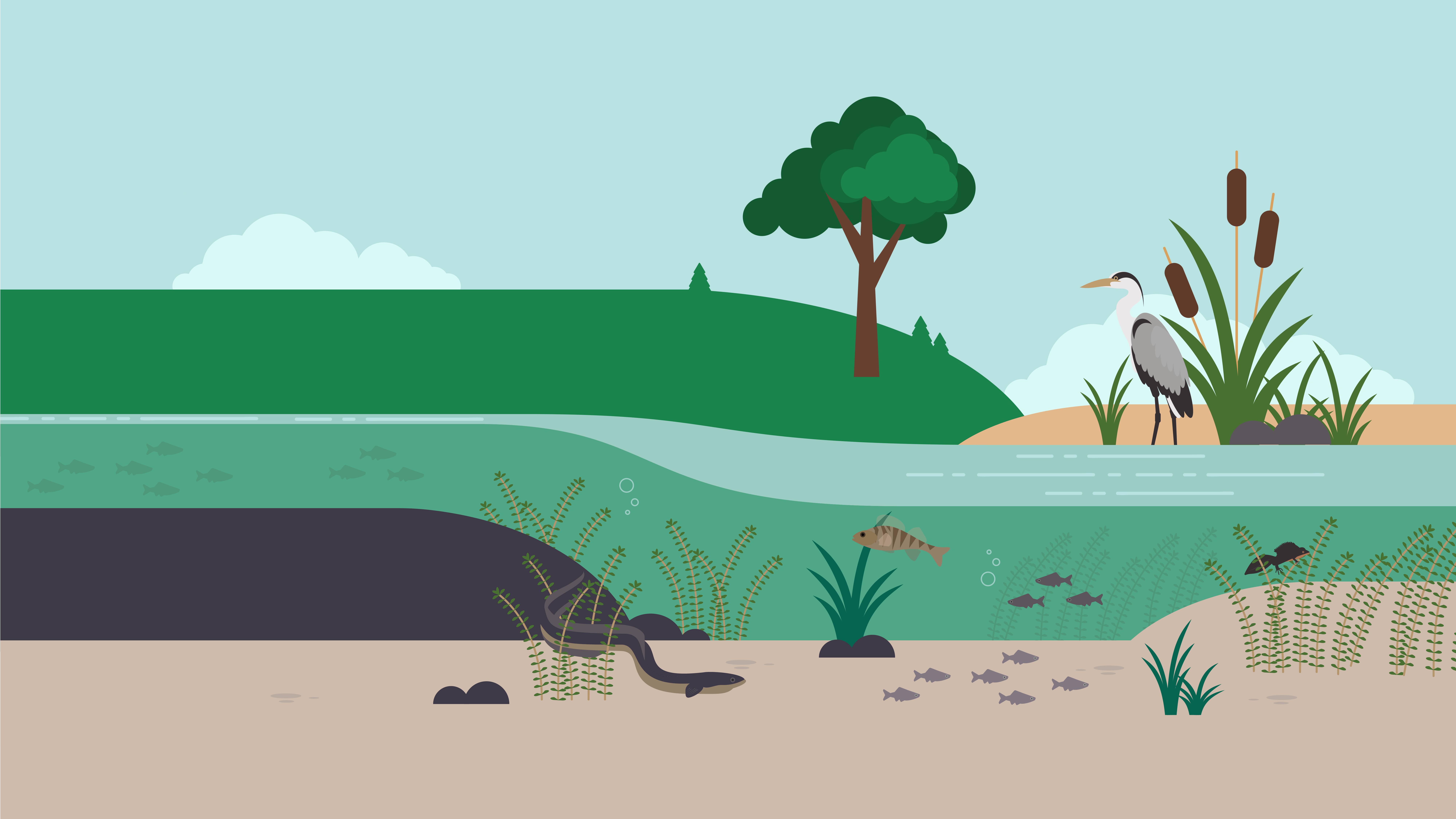 EcoSF4 Framework - Providing freshwater and coastal ecological services to the Environment Agency
