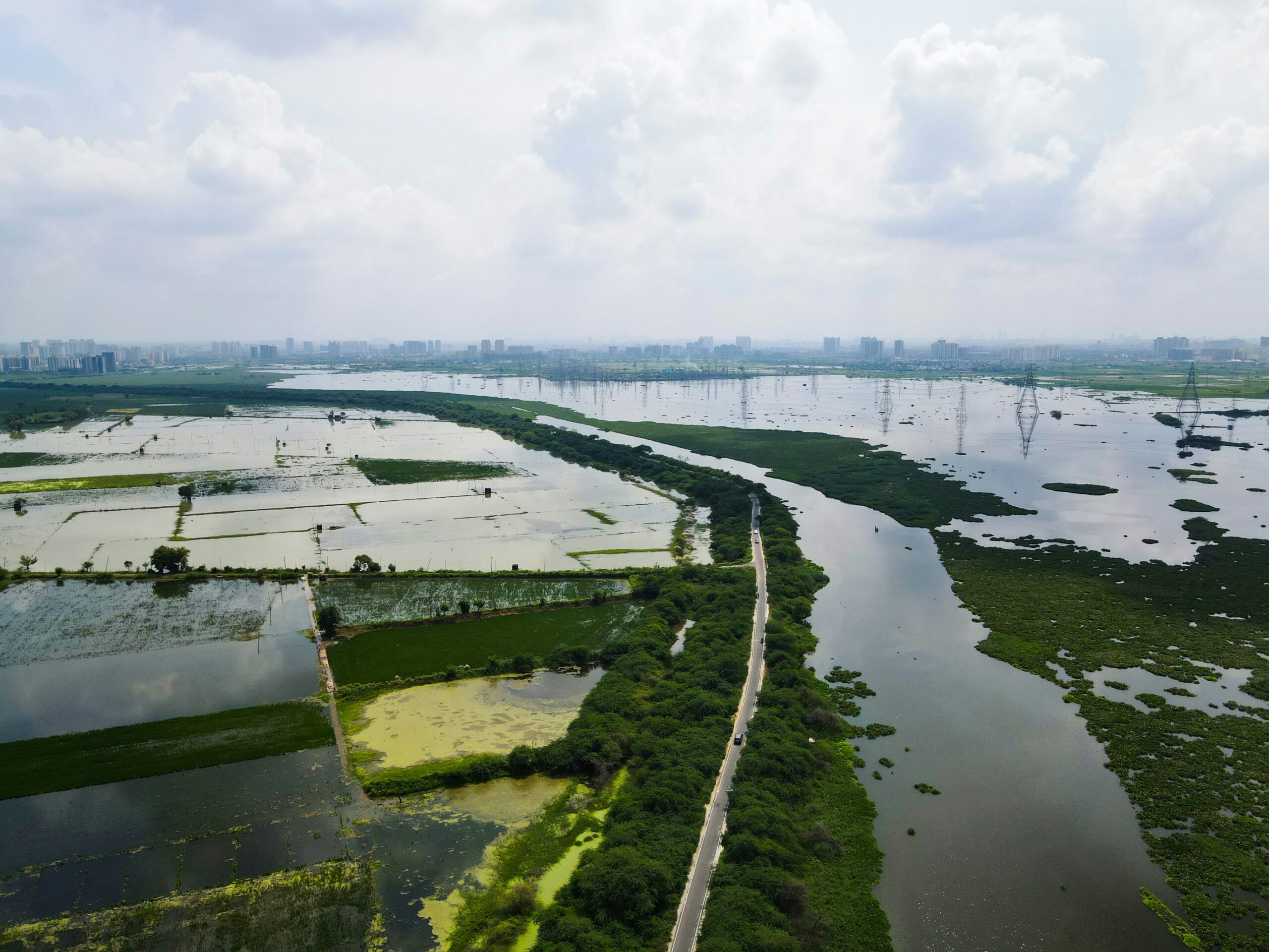 Nature-based solutions: from plans to practice