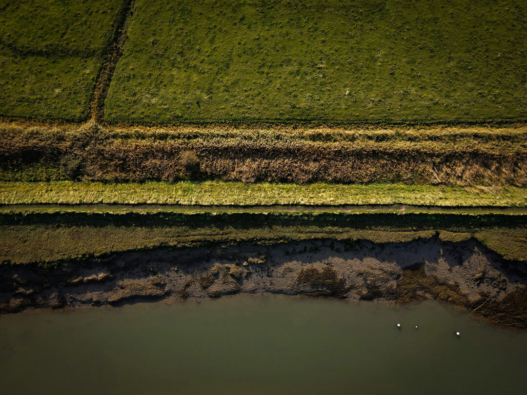 Resilient landscapes: A reimagined approach