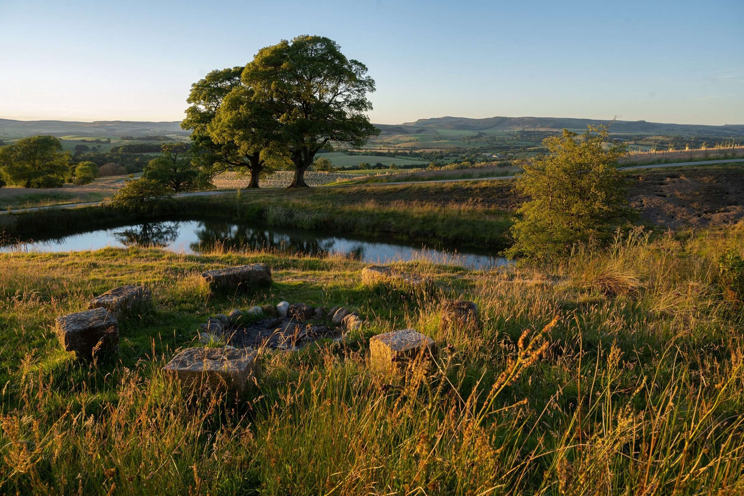 Increasing and maintaining existing tree cover 