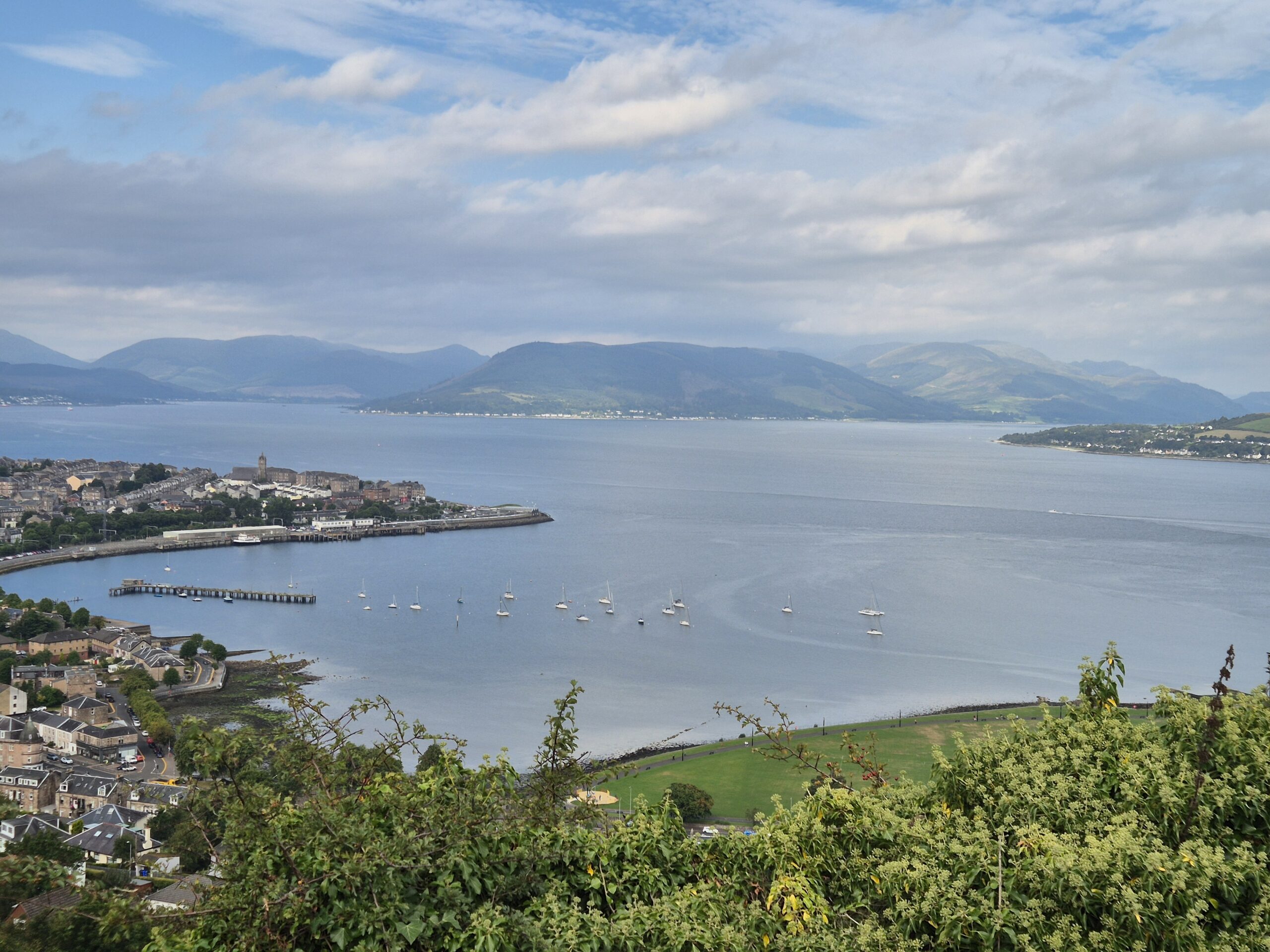 Street tree condition surveys for Inverclyde Council 