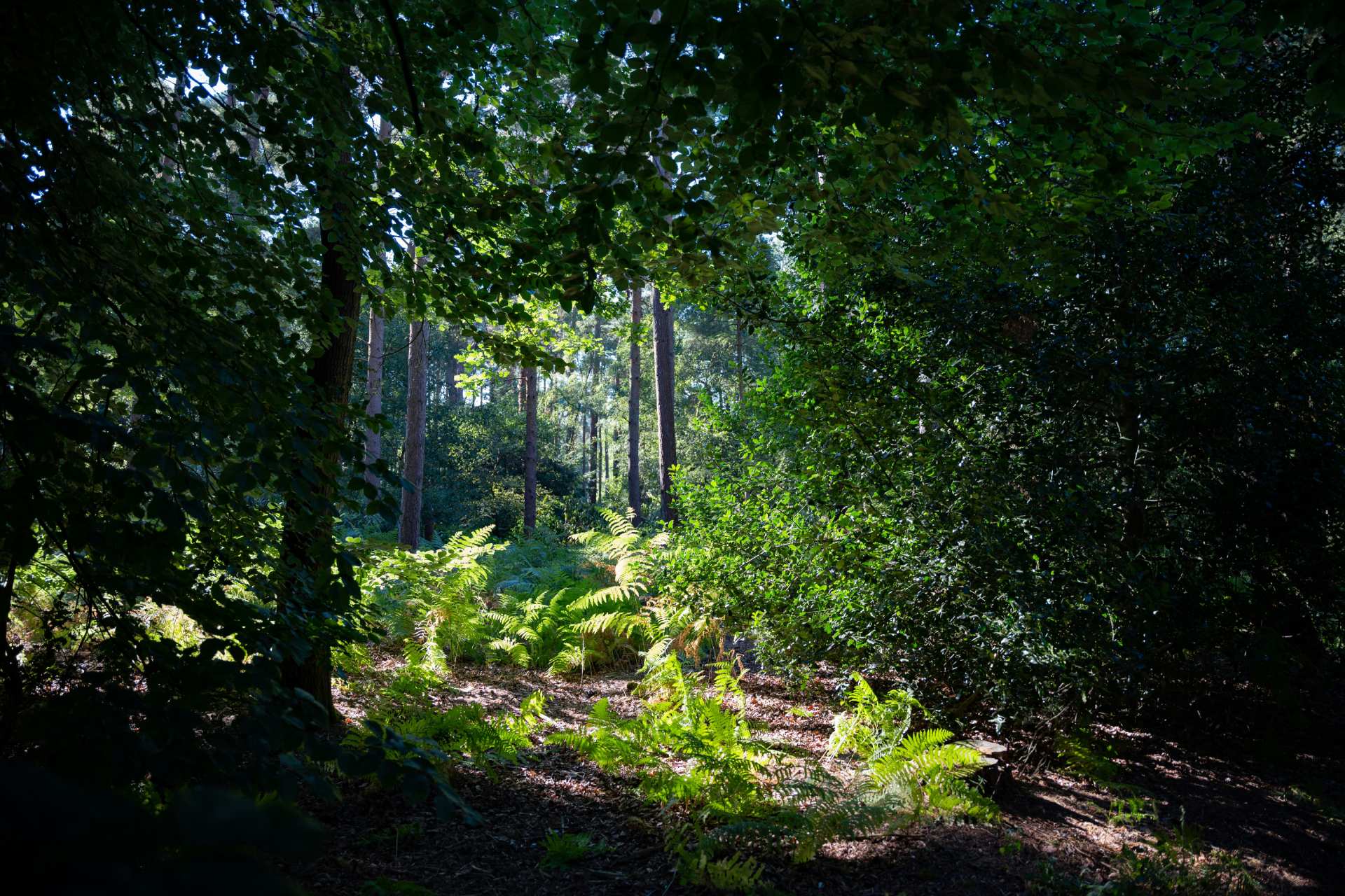 Nature and climate corporate reporting services at JBA