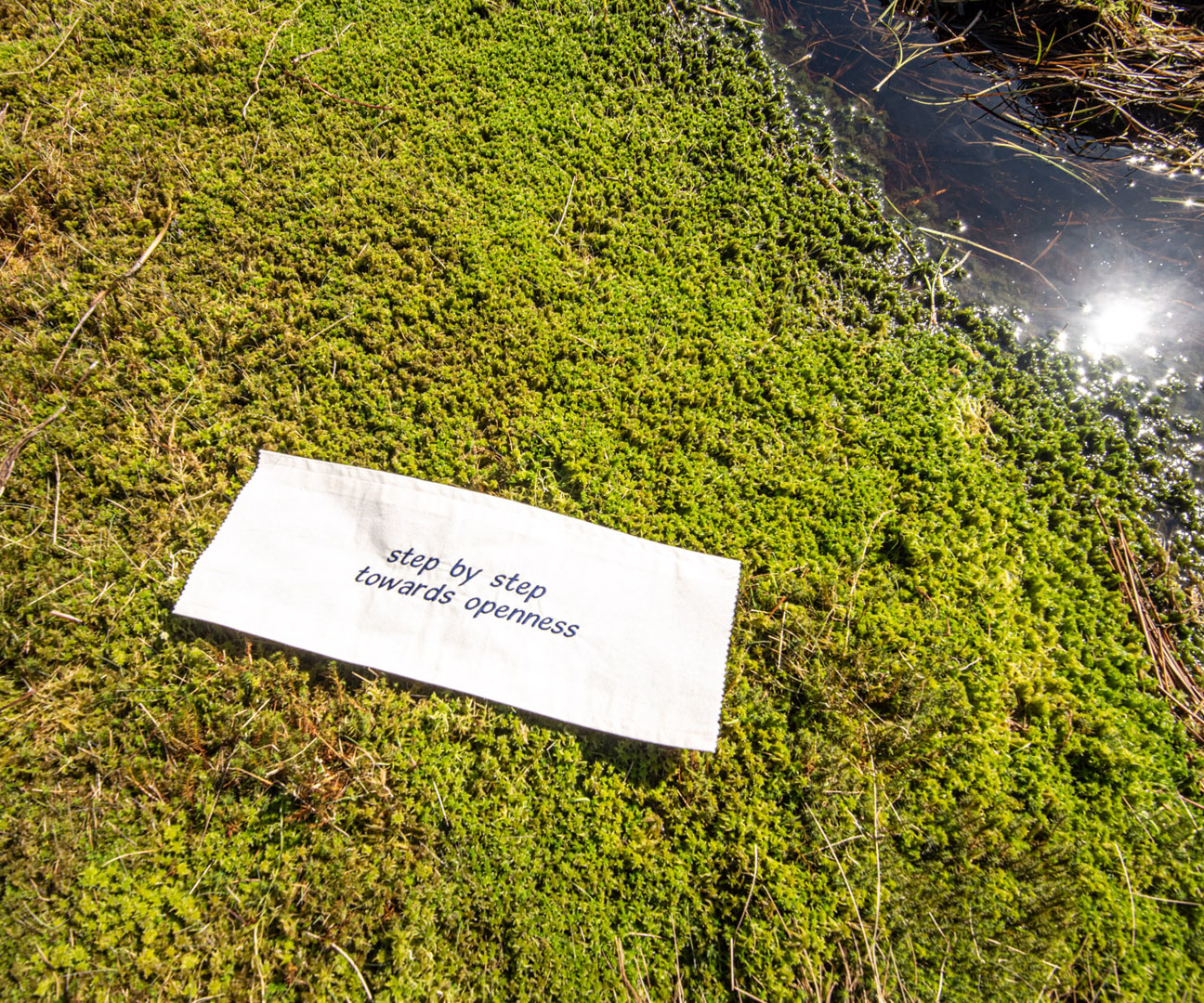 Making science and data accessible through creative practices