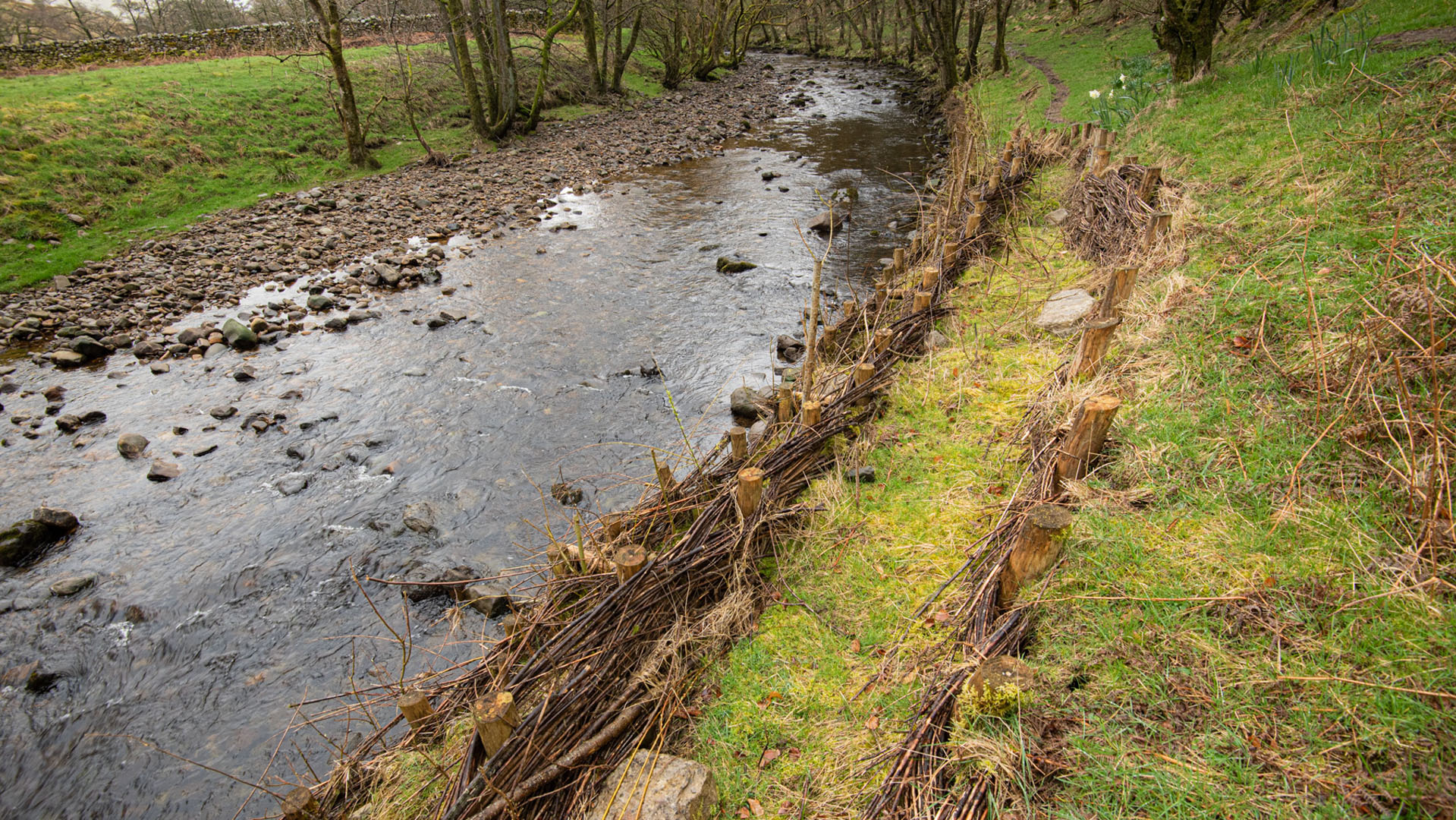 Making science and data accessible through creative practices