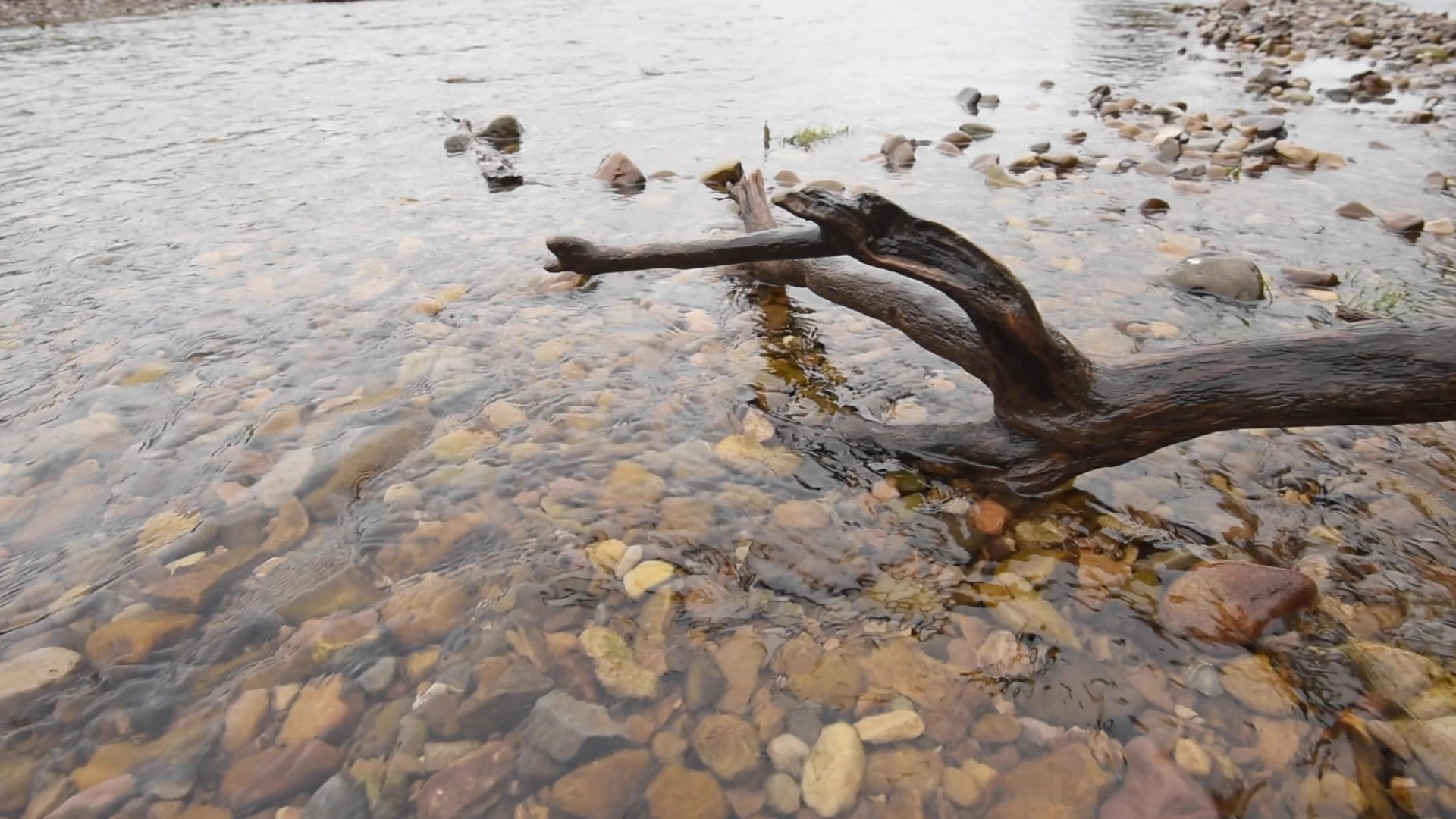 Making science and data accessible through creative practices