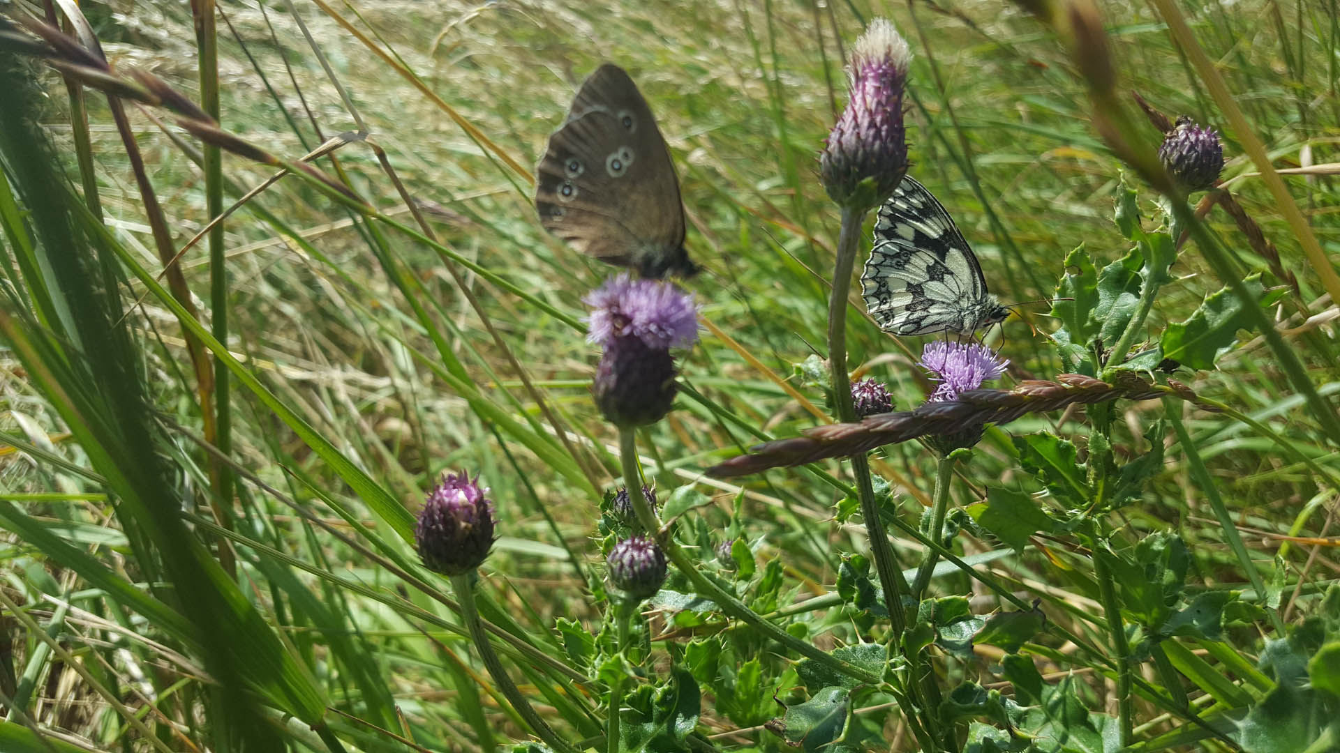 Delivering long-term benefits for the environment and local communities 