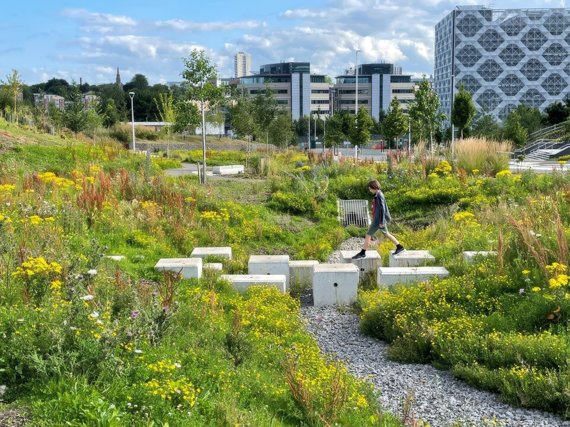 From flood risk to opportunity: Delivering resilient urban places   