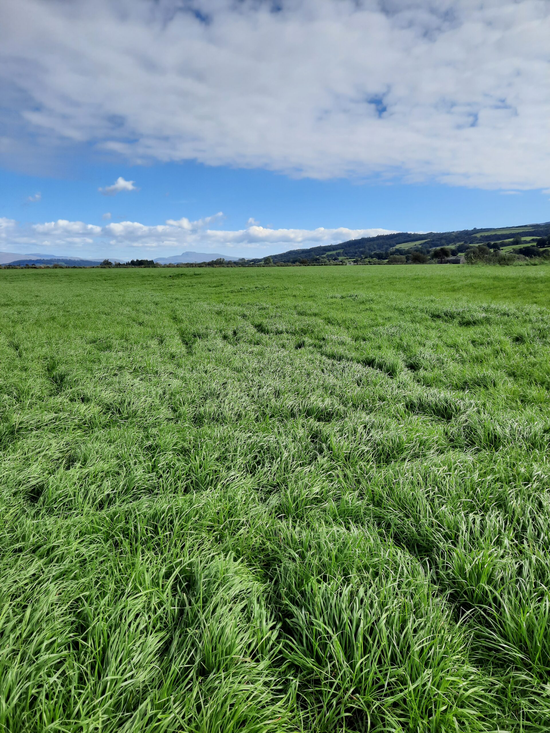 The future of NbS4WR: Meeting the Environment Agency's operational expectations