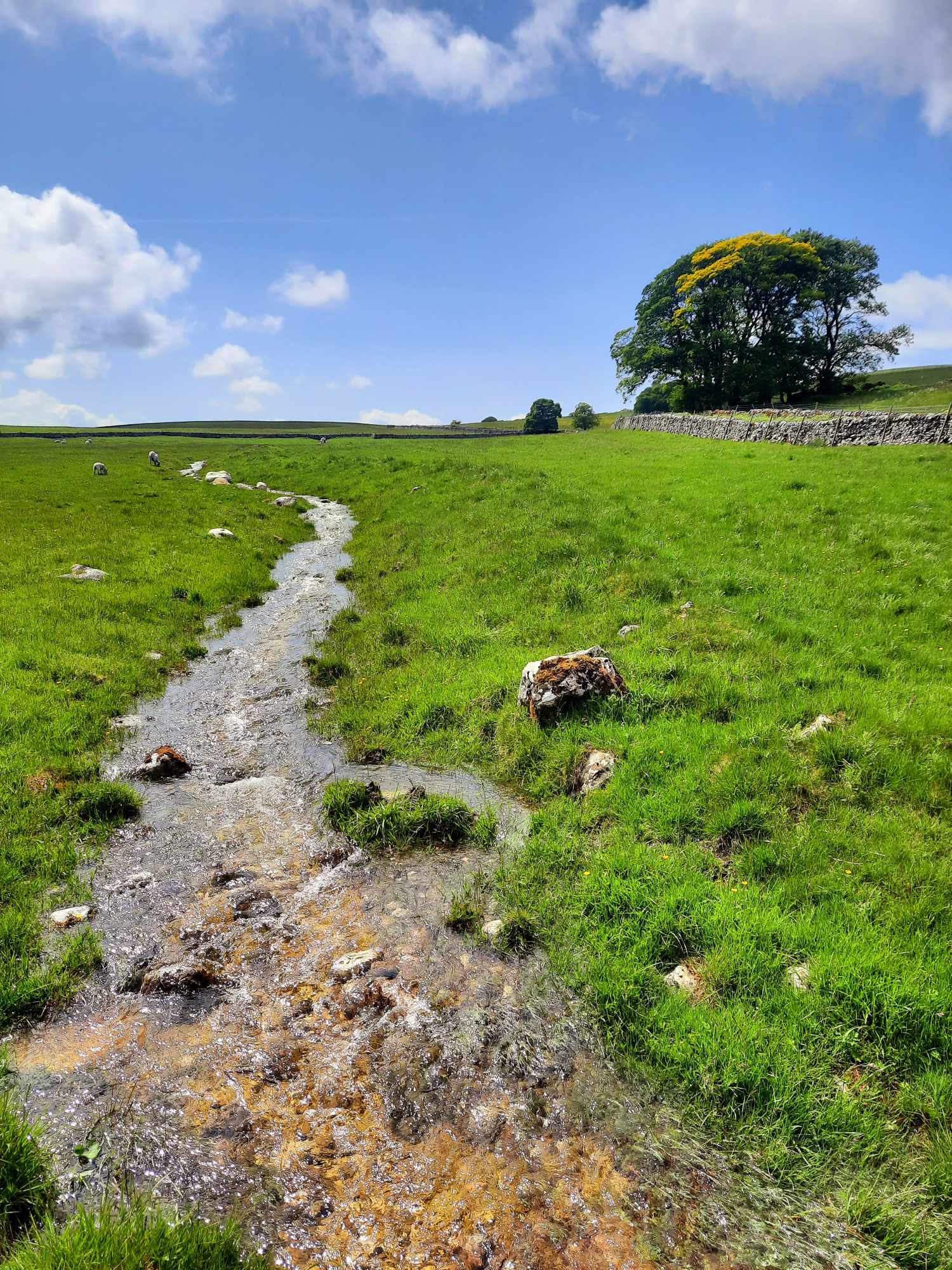 The future of NbS4WR: Meeting the Environment Agency's operational expectations