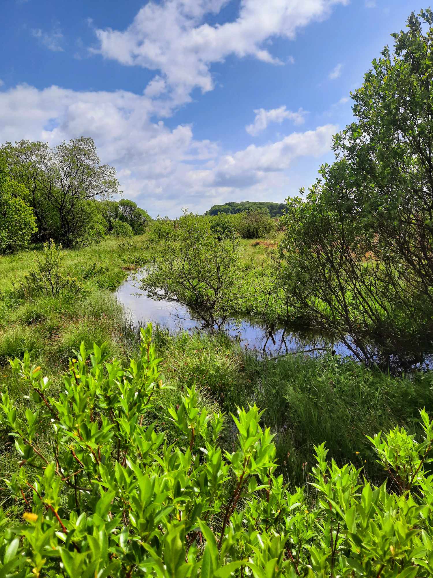 The future of NbS4WR: Meeting the Environment Agency's operational expectations