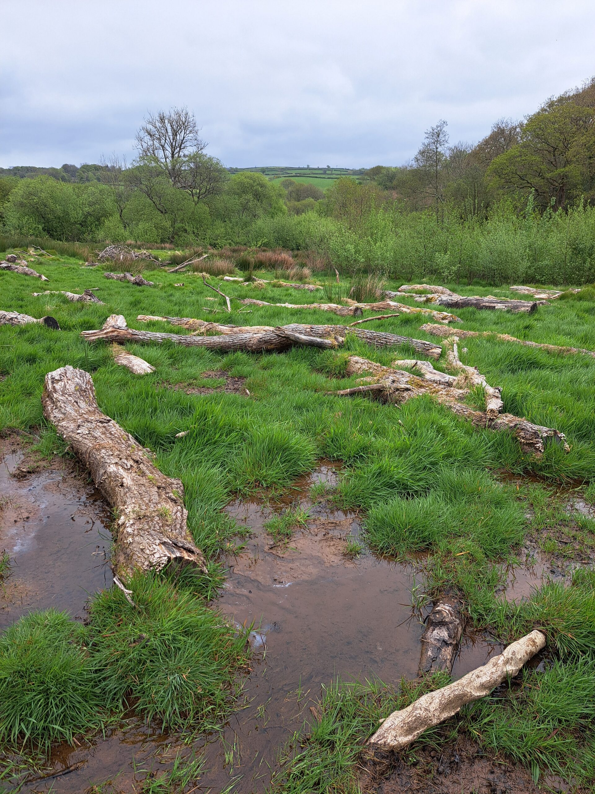 Characterising the Landscape to Inform Intervention