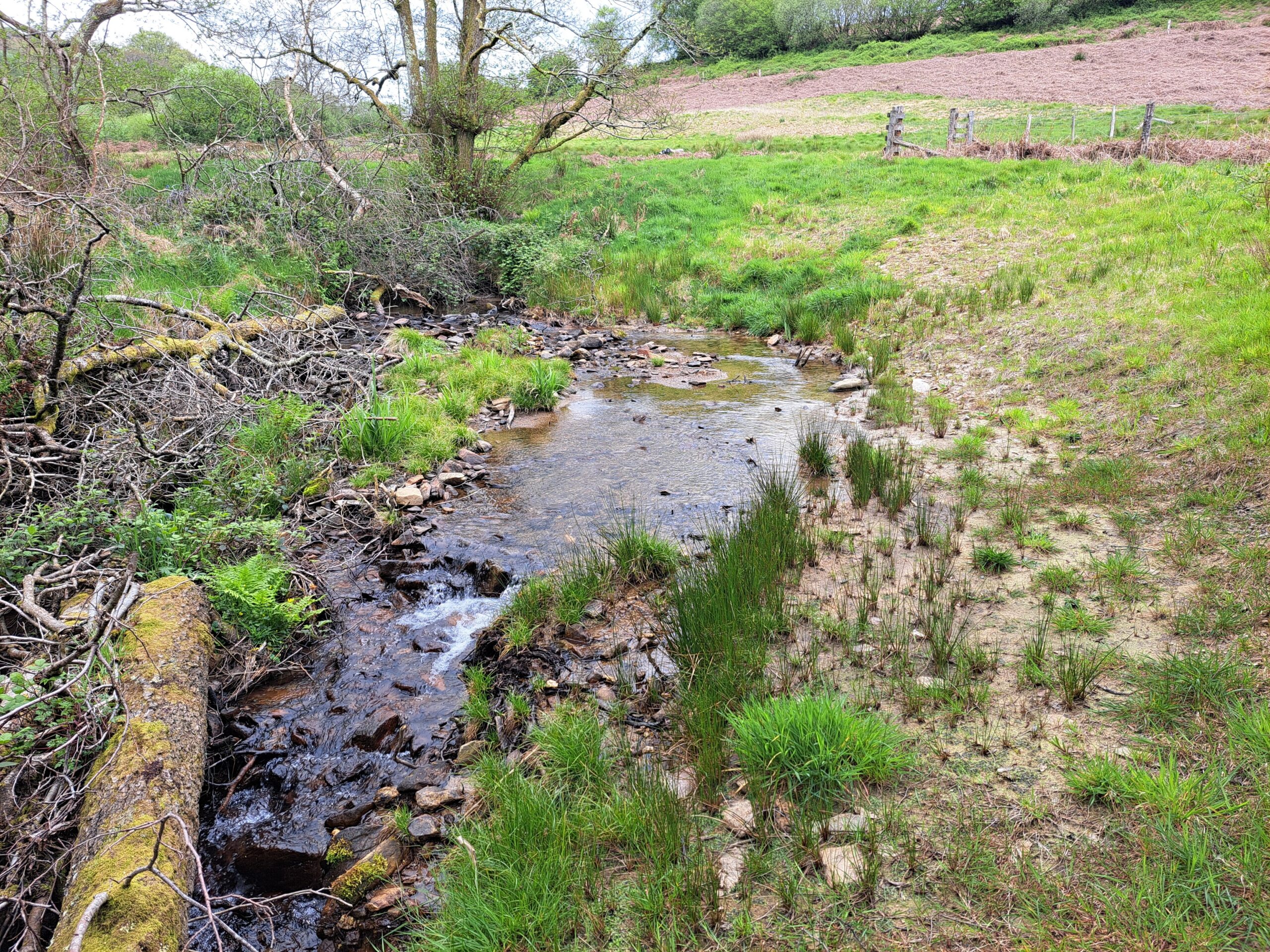 Supporting Natural Geomorphic Recovery