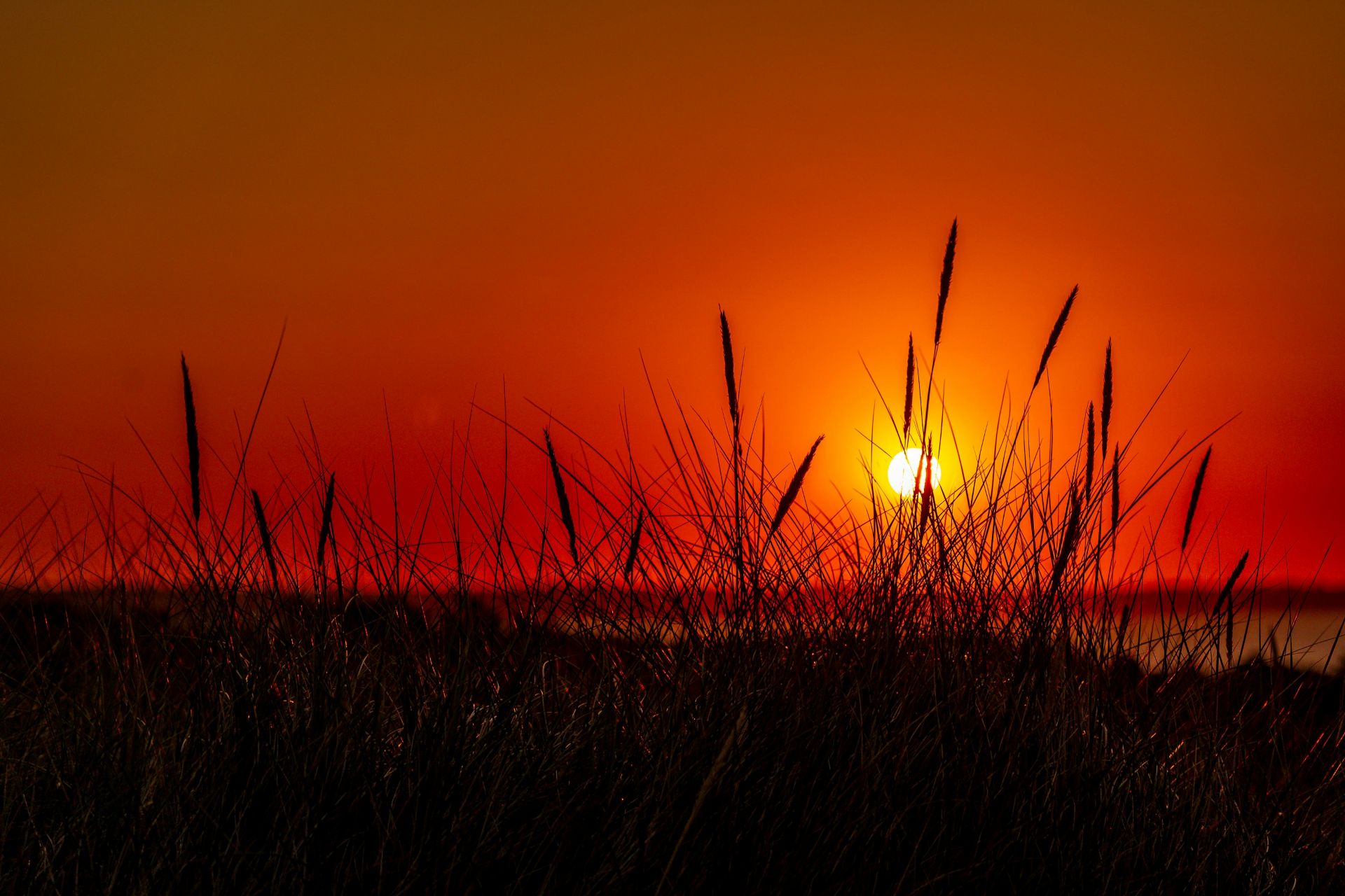 The UK heatwave: An extreme weather event, or a whole-system and whole-society stress test?