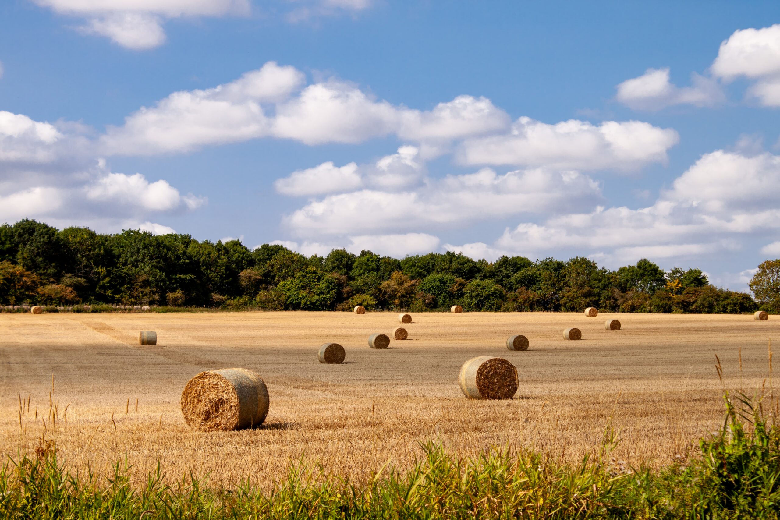 Beyond soil: Why water is key to the future of UK agriculture